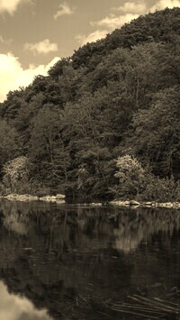 Szary + Sepia