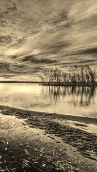 Szary + Sepia