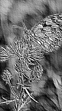 Skamielina