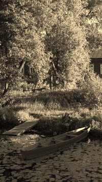 Sepia