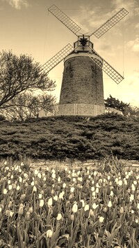 Sepia
