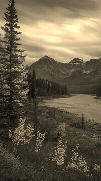 Sepia
