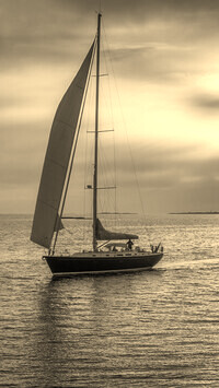 Szary + Sepia