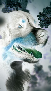 Negatyw