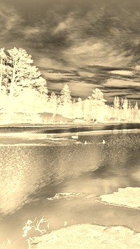 Sepia + Negatyw