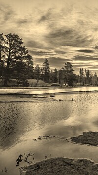 Szary + Sepia
