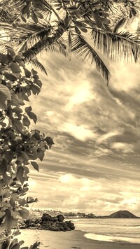 Sepia