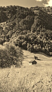 Sepia