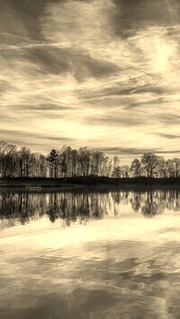 Szary + Sepia