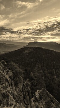 Sepia