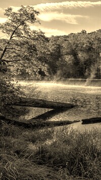 Szary + Sepia