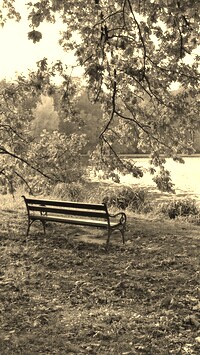 Szary + Sepia