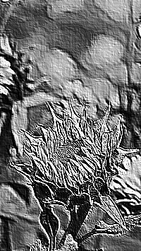 Skamielina