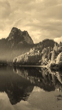 Szary + Sepia