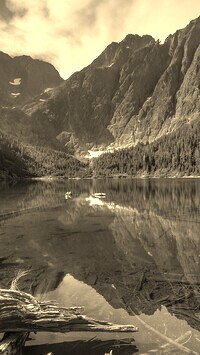 Szary + Sepia