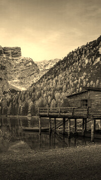 Szary + Sepia