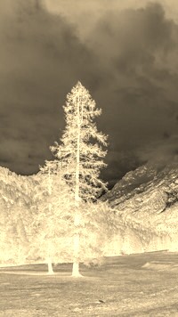Sepia + Negatyw