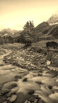 Sepia