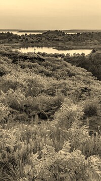 Szary + Sepia