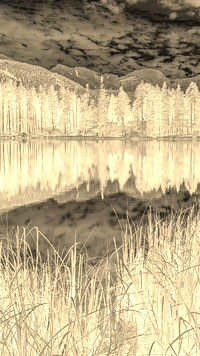 Sepia + Negatyw