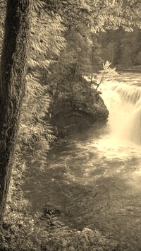 Szary + Sepia