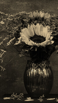 Szary + Sepia