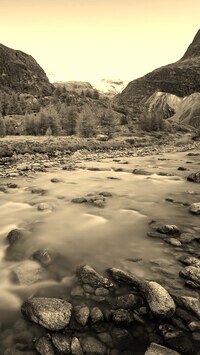 Sepia