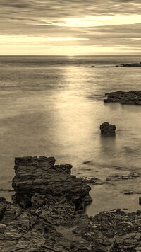 Szary + Sepia