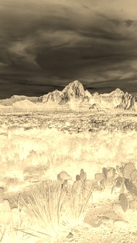 Sepia + Negatyw