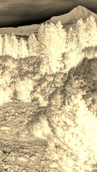 Sepia + Negatyw