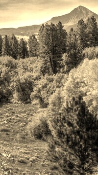 Szary + Sepia