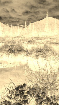 Sepia + Negatyw