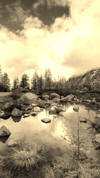 Sepia