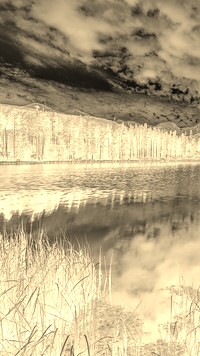 Sepia + Negatyw
