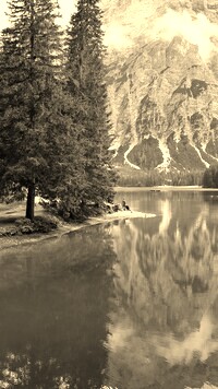 Szary + Sepia