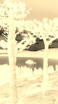 Sepia + Negatyw