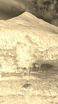 Sepia + Negatyw