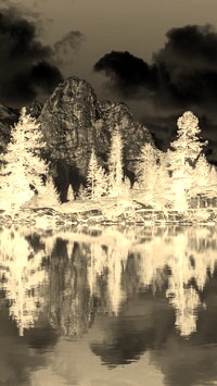 Sepia + Negatyw