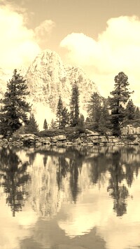 Szary + Sepia