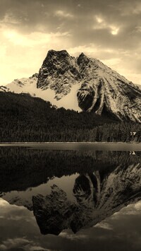 Szary + Sepia