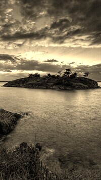 Szary + Sepia