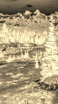 Sepia + Negatyw