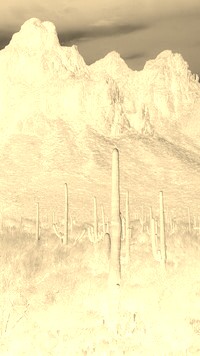Sepia + Negatyw
