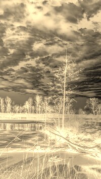 Sepia + Negatyw