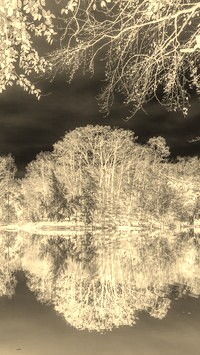 Sepia + Negatyw