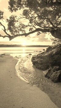 Sepia