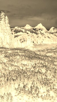 Sepia + Negatyw