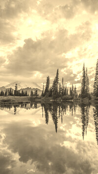 Sepia