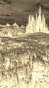Sepia + Negatyw