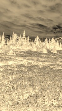 Sepia + Negatyw